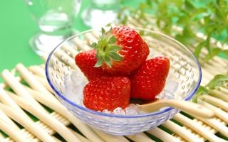 北马其顿 VS 比利时